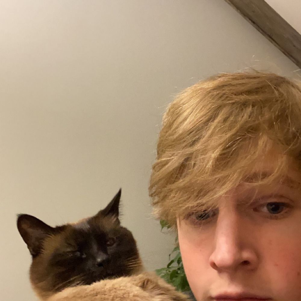 Meet your Posher, Eli